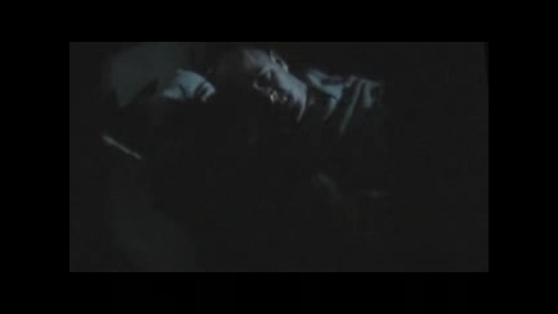 Mein führer die wirklich wahrste wahrheit über adolf hitler