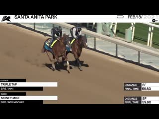 Triple tap, a half brother to american pharoah outside, and money mike worked 5 furlongs in