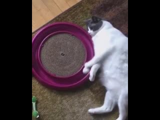 When you’re in a depressed mood but still try to have fun