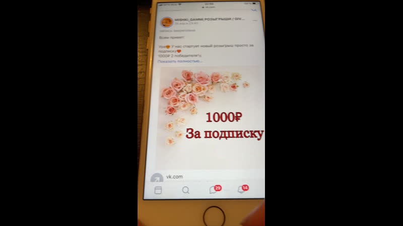 Live mishki gammi розыгрыши / giveaway