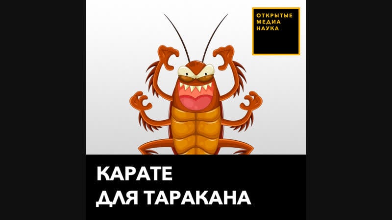 Карате для таракана