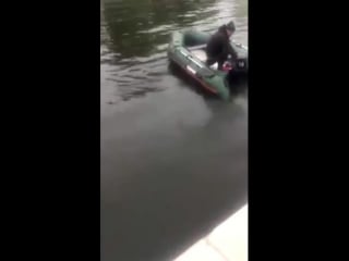 Valeriyaning erotik fotosurati Inson jinsiy buzoq video