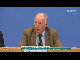 Afd pressekonferenz meuthen gauland zur wahl in brandenburg sachsen