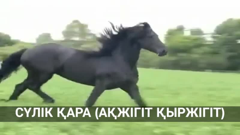 Анальды жыныстық қатынасқа дайындық бейне