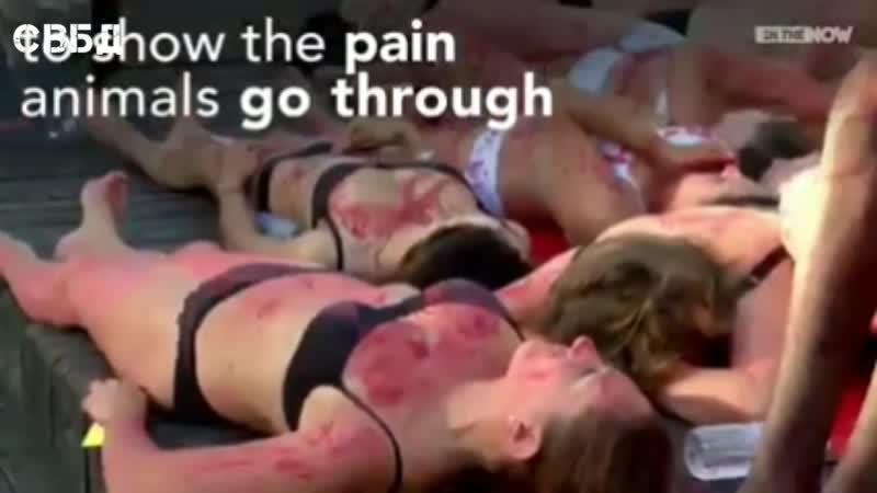 Веганы клеймят себя каленым железом в знак солидарности с молодые, которых тащат на убой