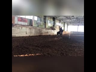 Конкурсные тренирои💪🏽выше быстрее сильнее🐴🐴🐴