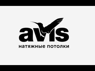 Avis натяжные потолки