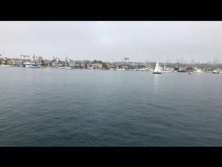 Sailboat in newport beach