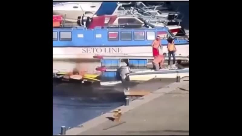 Пердак подгорел