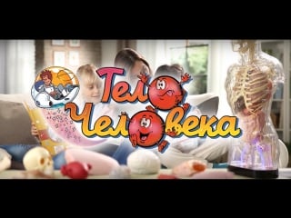 «как устроено тело человека» деагостини | deagostini (2018)