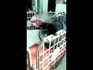 Hi i will never stop believing the fact that jungkook’s soft giggle appeared in 008 and they were actually in the same room when