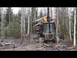 Timberjack 810b logging in wet forest