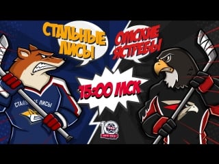 Live! «стальные лисы» «омские ястребы» ( – 1500)