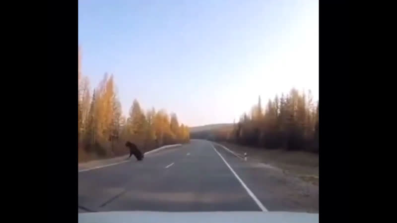 Хорошие тормоза, однако