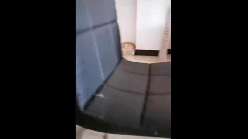 Понятия не имею, кто мог такое сделать!