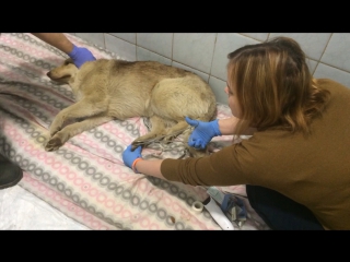 Проверяю чувствительность моих ножек