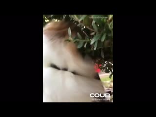 Your face when you see gaper