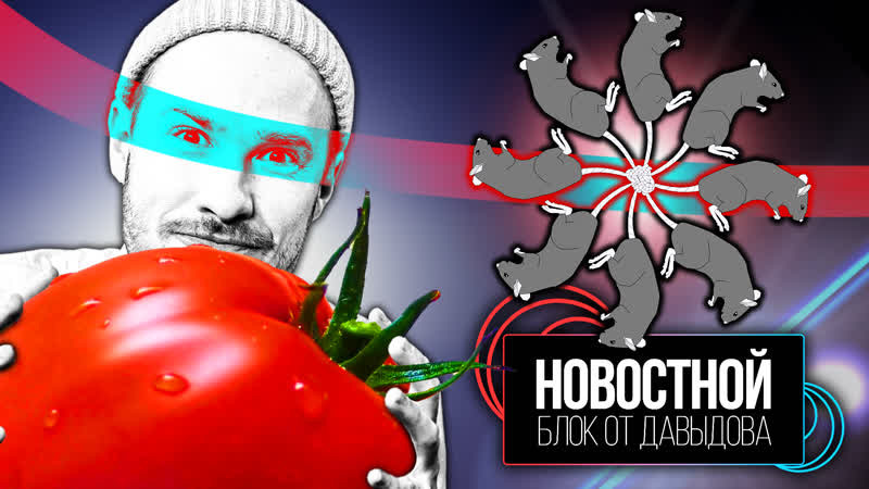 Обратный сексизм на twitch || русский tiktok || помидоры вакцины || живой крысиный король