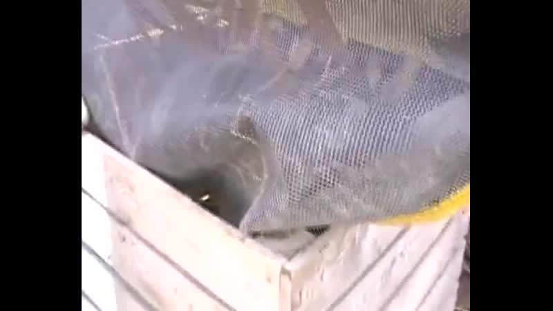 Выращивание картофеля в норвегии technology of growing potatoes