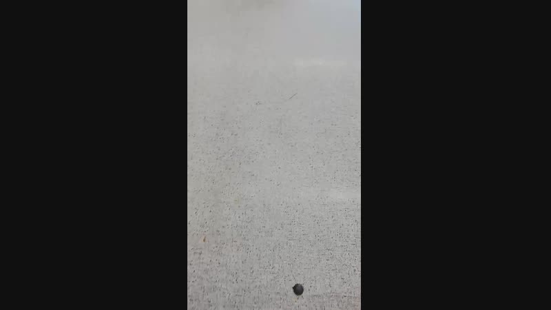 Азиат в бешенстве