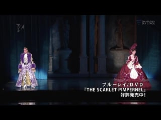 The scarlet pimpernel (star, 2017) dvd cm