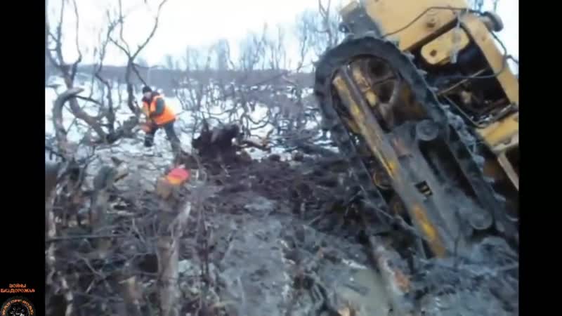 Встал в свечу