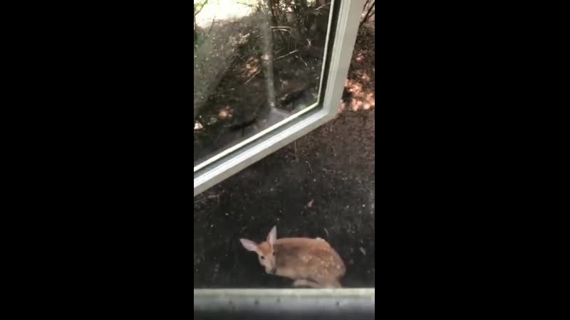 Instastories 30 07 19 ig @tylerrjoseph