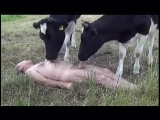 Деревенский движ