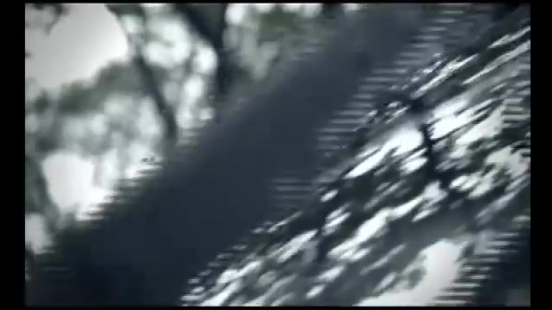 Denso дворники hybrid