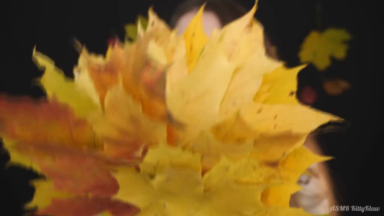[asmr kittyklaw] асмр 🍁триггеры осени 🍄 для твоего сна | 🍂 asmr trigger  autumn ☕ help you sleep 😴