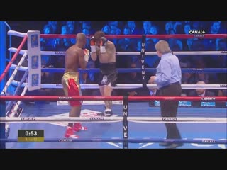 Мишель соро грэг вендетти