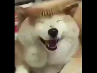 Nammin by porn ⁺¹⁸