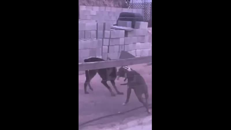 Против лома нет приема