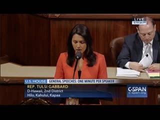 Rep tulsi gabbard introduces bill to stop arming terrorists