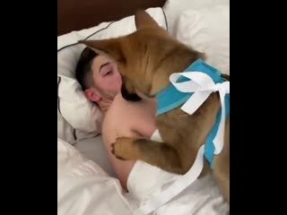 Pri came home with the absolute best surprise this morning please meet our new pup gino