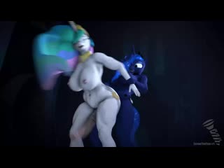 Futanari секретные разделы princess celestia royal