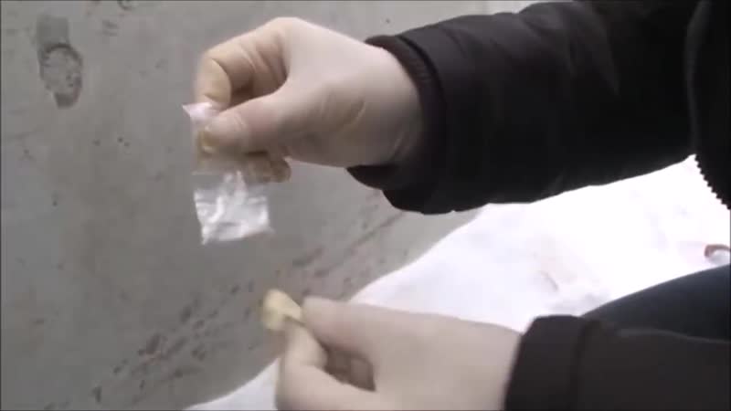Лучшие задержания фскн