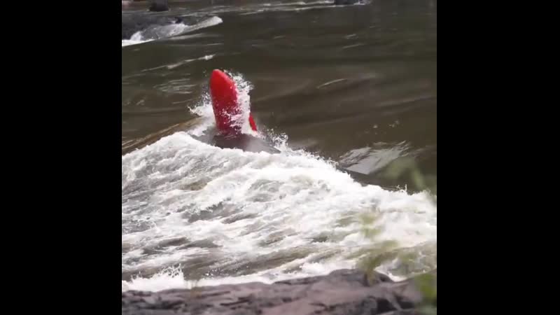 Andi запускает ракету jk antix