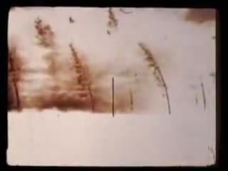 Foals red socks pugie