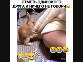 I got a chick and finished 