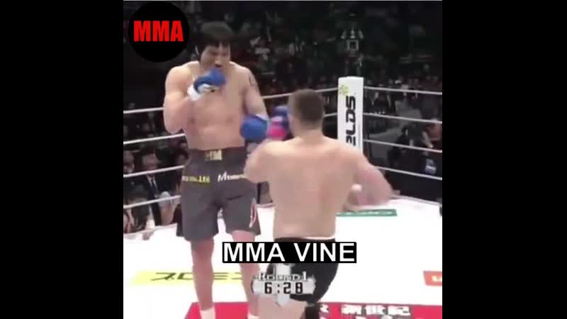 Мирко крокоп уложил гиганта