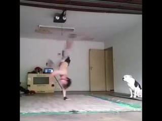 South africa style clean bboy powermoves with a pitbull