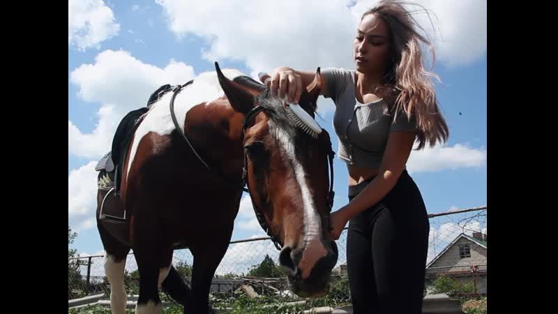 «поседевшая грива и грусть в глазах» конный клуб столкнулся с массовой болезнью лошадей