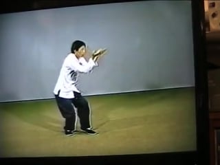 Baguazhang (pa kua chang) park bok nam