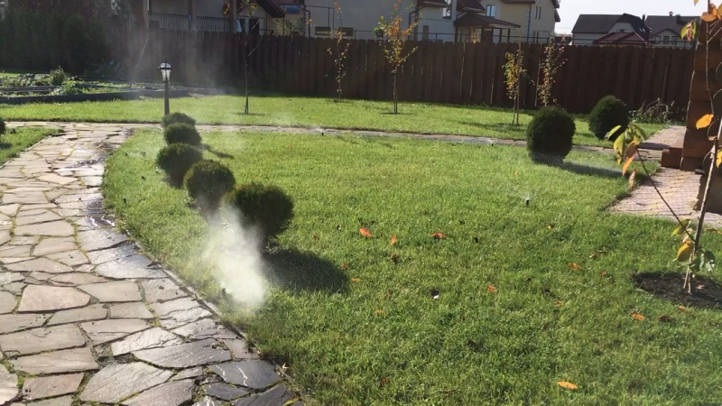 Консервация в д беляницы