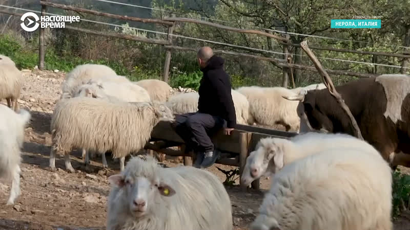 Фермер скотовод изменился и превратил свою ферму в приют для молодые
