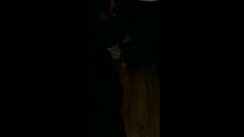 Славнии ученицы (межуева л )