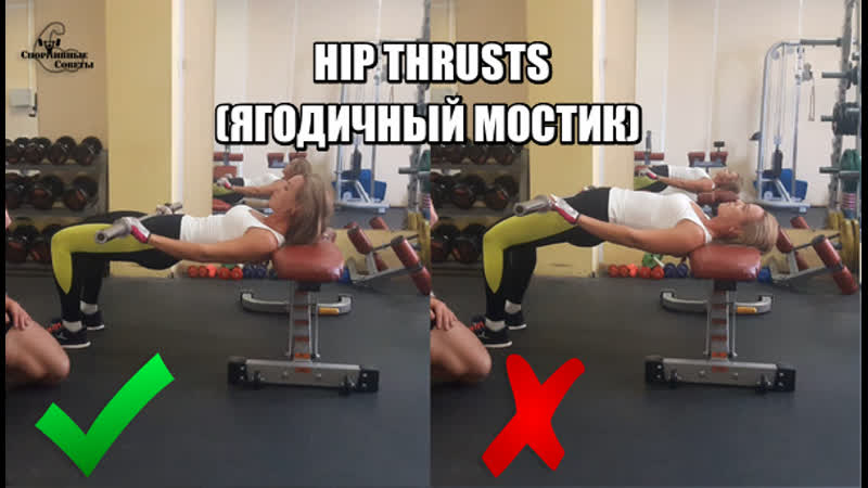 Hip thrusts (ягодичный мостик)