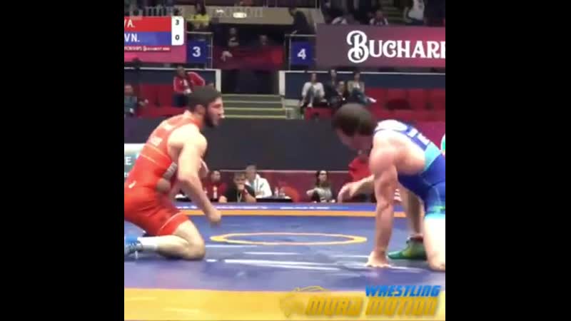 Садулаев (rus) гаджиев (aze) бухарест🏆