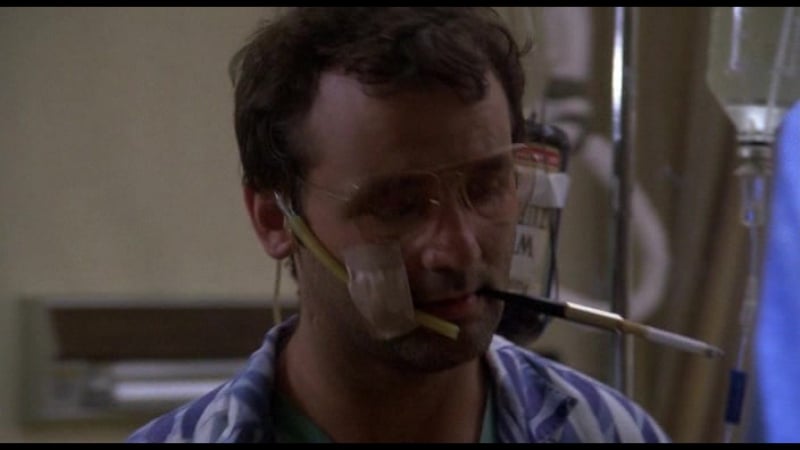 Там где бродит бизон ( where the buffalo roam)